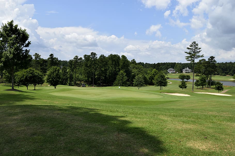 golf, grass, course, fairway, putt, tee, golfer, hole, nature HD wallpaper