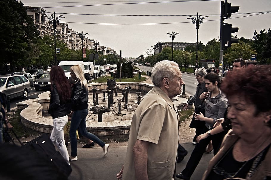 Pedestrians at crosswalk, people, men, outdoors, senior Adult HD wallpaper