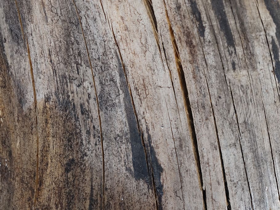 wood, texture, nature, wood - material, full frame, backgrounds HD wallpaper