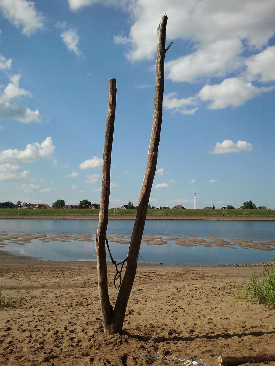elbe, water, beach, dry tree, sky, land, cloud - sky, tranquility HD wallpaper