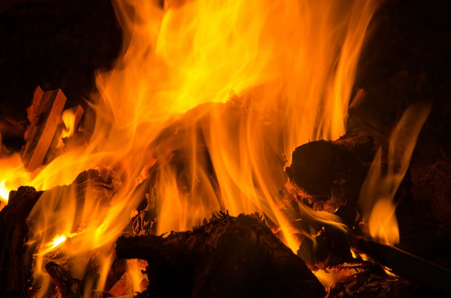 campfire, wood, flame, barbecue, fireplace, embers, heat, hot HD wallpaper