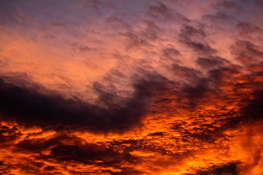 low angle view of orange sky, low angle photo of red skies, dark HD wallpaper