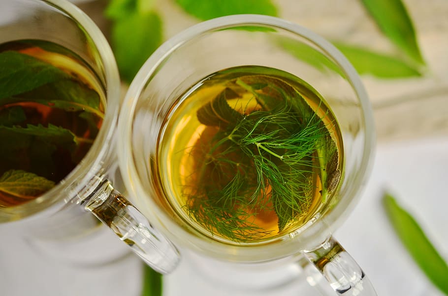 tea filled clear glass, herbal tea, herbs, tee, fennel, mint, HD wallpaper