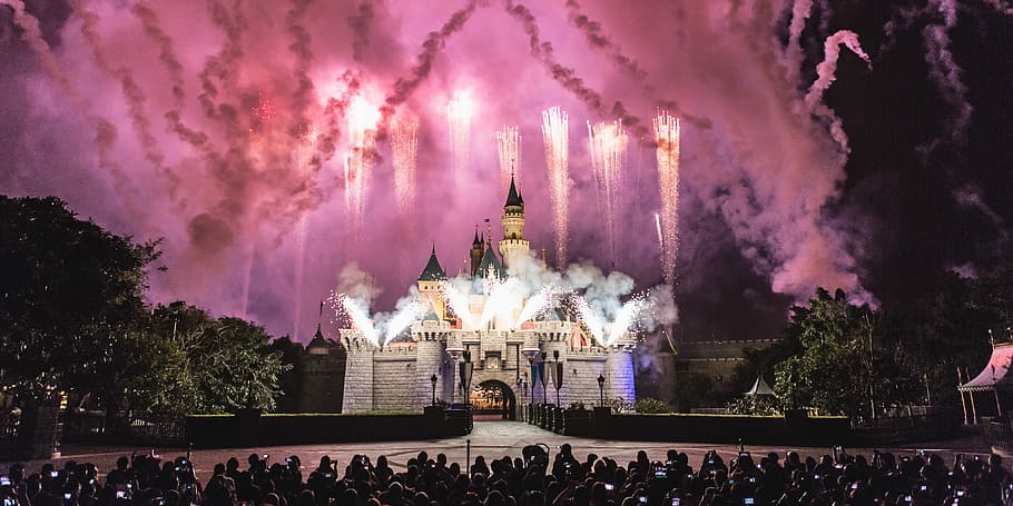 gray castle with fireworks during night time photography, photography of white house HD wallpaper