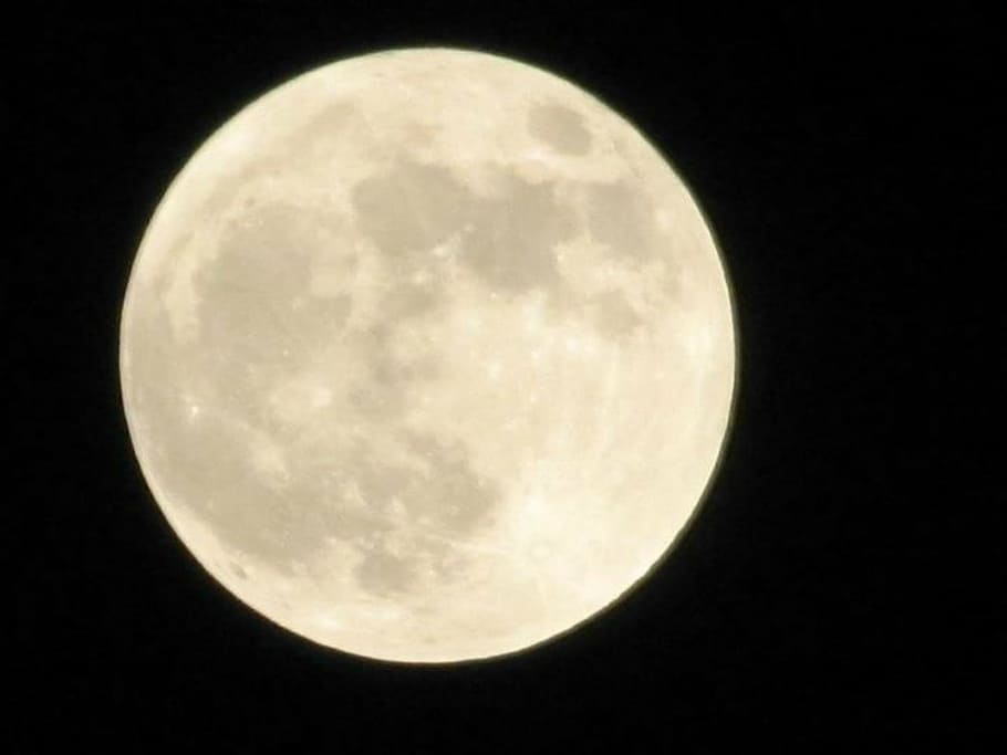 white full moon, sky, night, dark, space, glowing, lunar, phase HD wallpaper