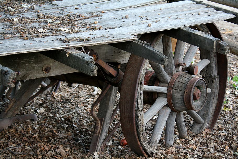 rustic, wagon, autumn, wagon wheel, old, wooden, antique, vintage HD wallpaper