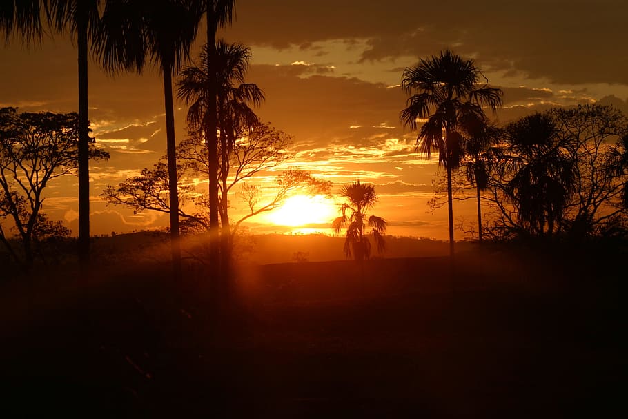 Sunset, Sun, Red, Clouds, Mountain, Sky, tree, palm tree, silhouette HD wallpaper
