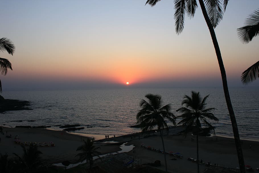 goa, india, beach, sunset, sea, water, sky, palm tree, tropical climate HD wallpaper