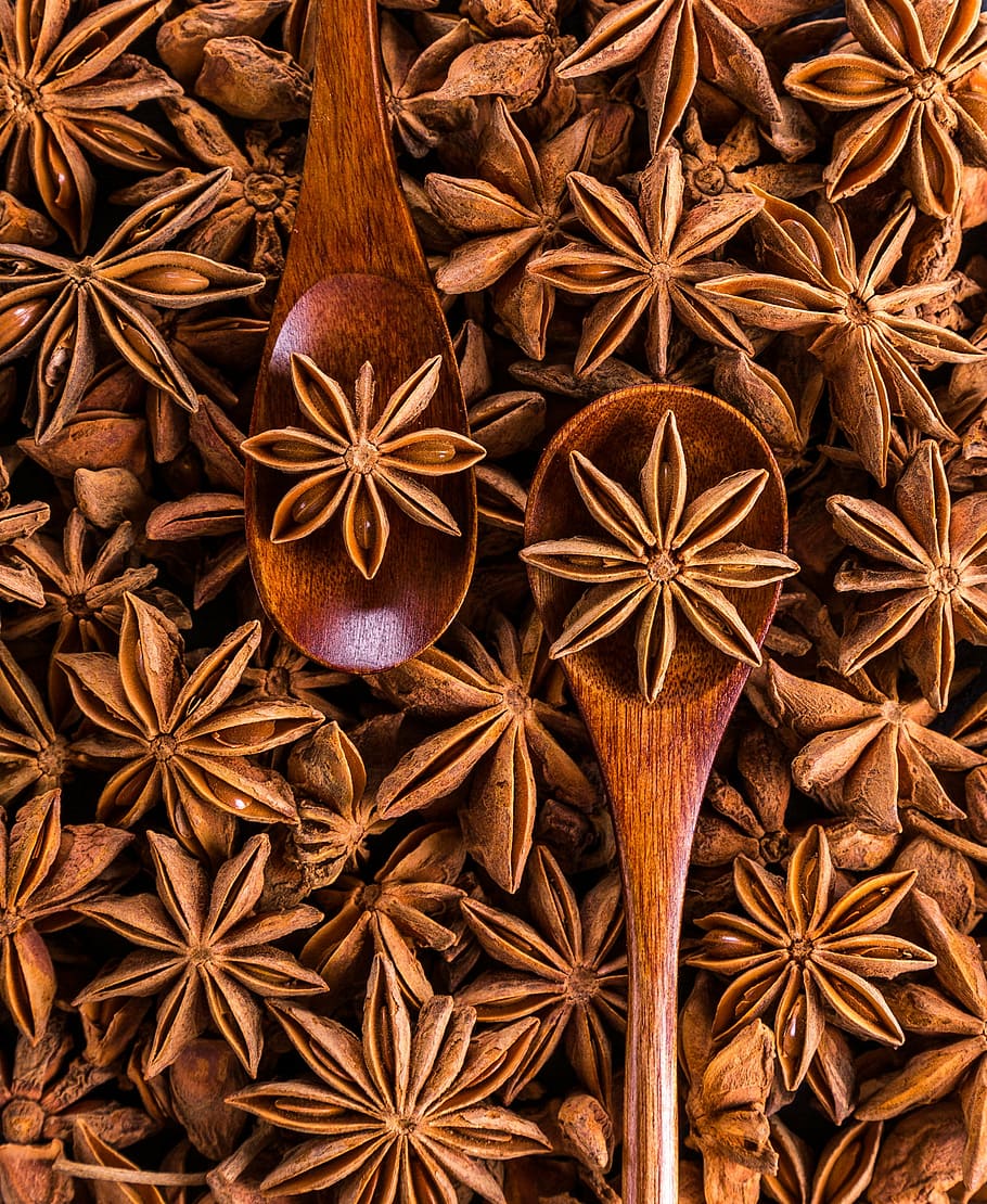 bunch of brown nut on brown wooden ladle, anise, spices, seeds