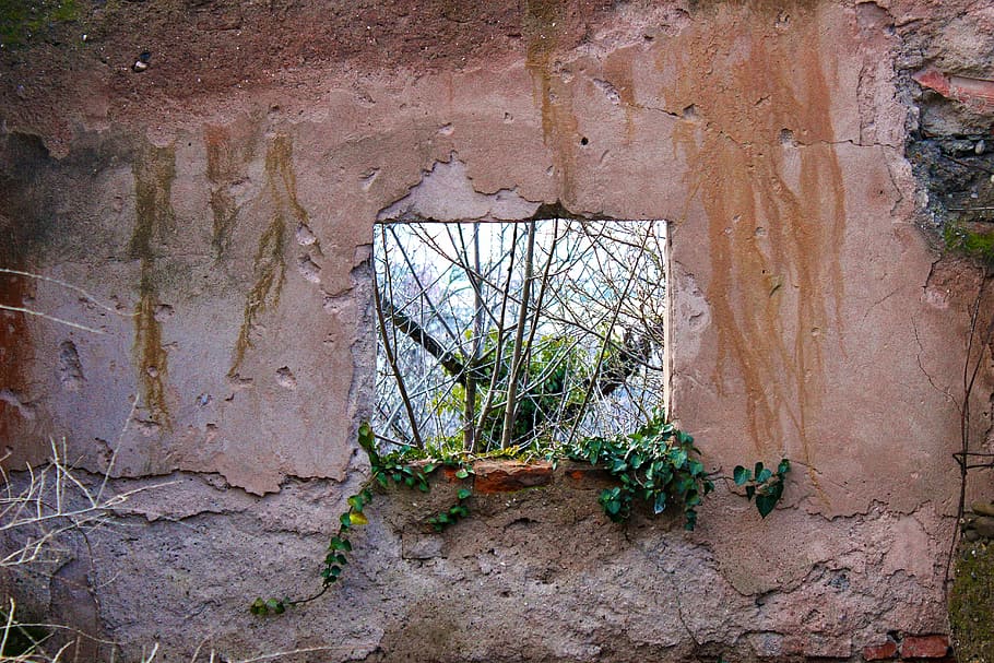 Window, Hole, Green, Tree, Wall, Texture, rusty, brick, concrete HD wallpaper