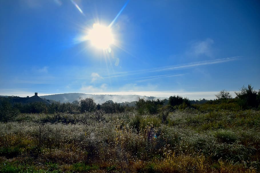 Sun, Mist, Field, Landscape, Fog, Nature, morning, sunlight HD wallpaper