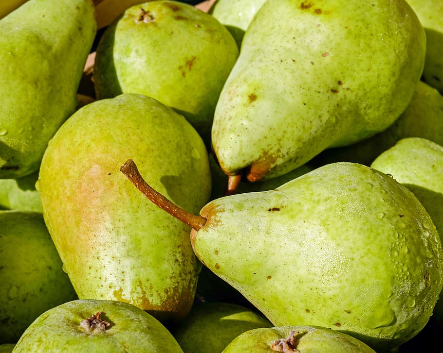 bunch of green guava fruits, pears, bio, left untreated, ripe, HD wallpaper