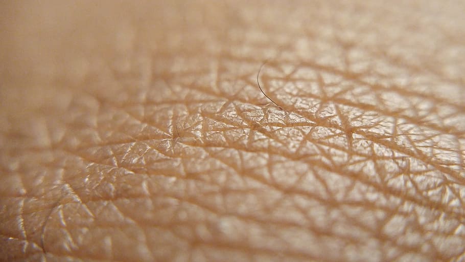 close-up photography human skin, Brown Skin, Skin Up, Up Close