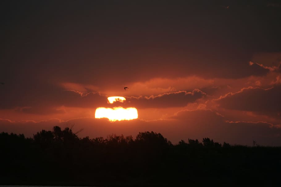 Sunrise, Orange, Sky, Sunset, Dusk, Dawn, evening, morning HD wallpaper