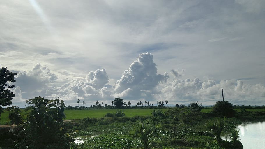 green plants and trees, clouds, landscapes, sky, blue, outdoor HD wallpaper