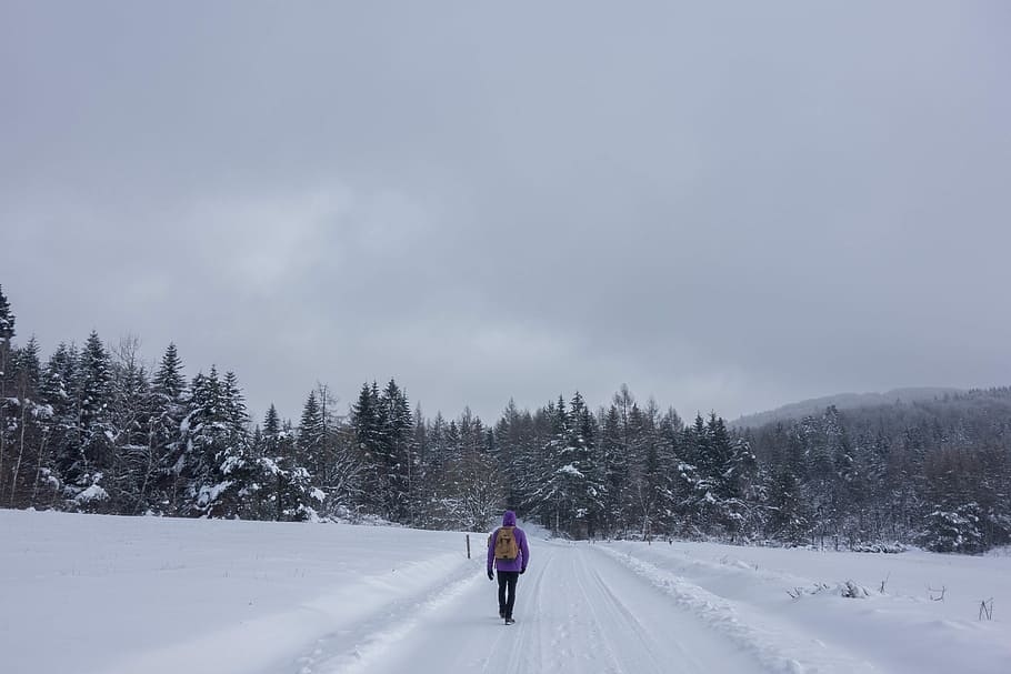 person walking on white snow covered road taken at daytime HD wallpaper