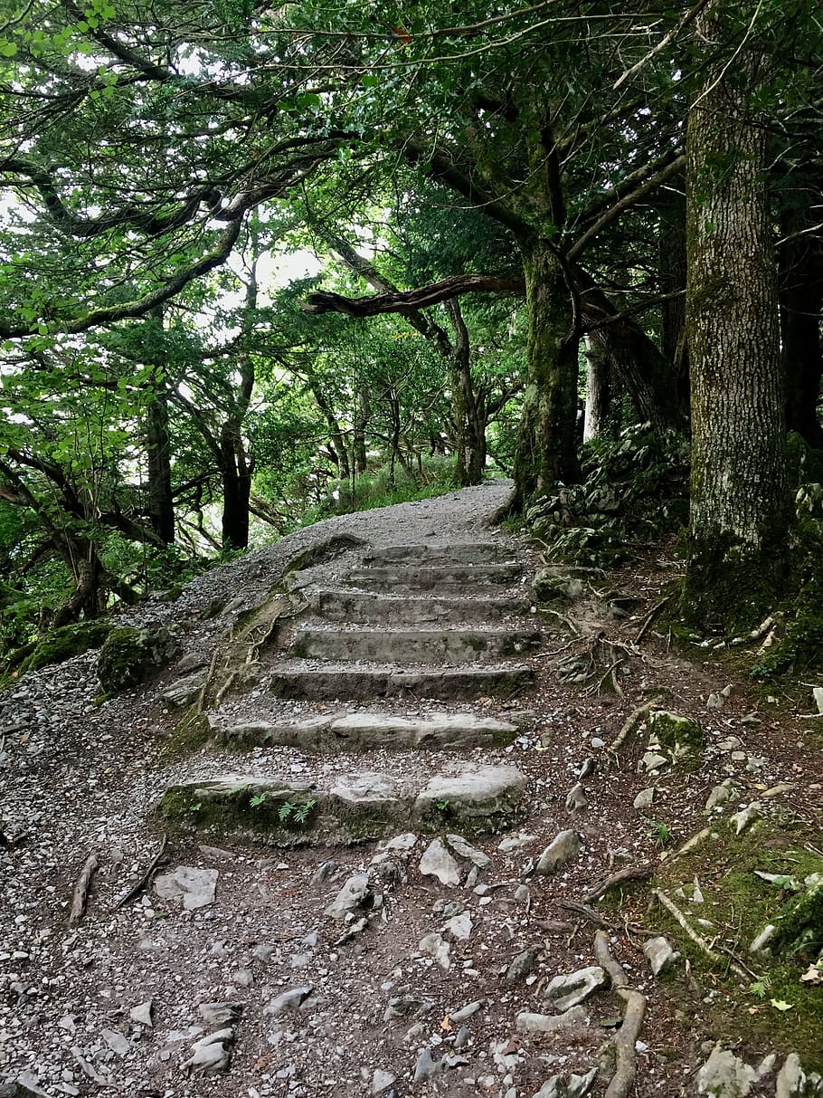 away, stairs, gradually, stone, rise, stair step, staircase HD wallpaper