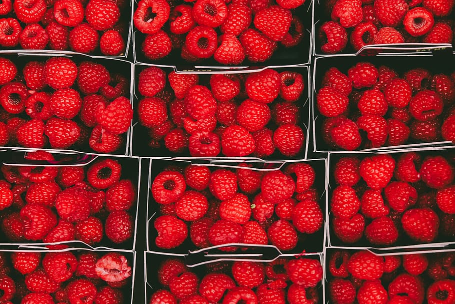 bunch of raspberries, raspberries in containers, raspberry, fruit HD wallpaper