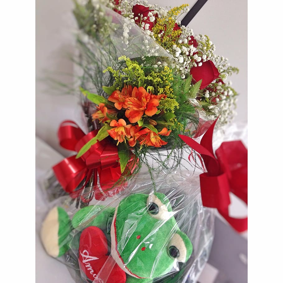 flower, frog, love, christmas, decoration, gift, red, celebration HD wallpaper