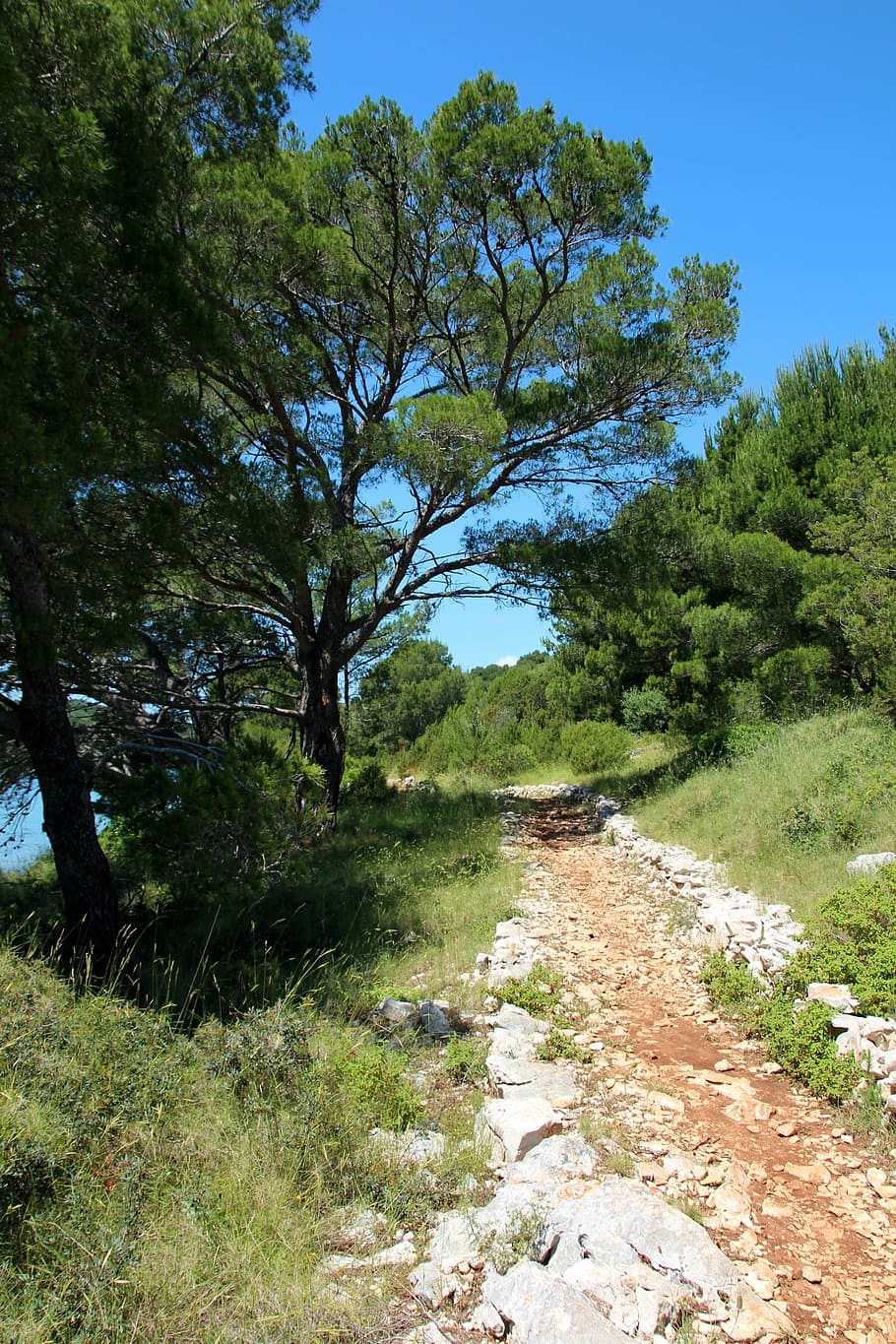 Away, Coast, Nature, Path, Landscape, cliffs, tree, forest HD wallpaper