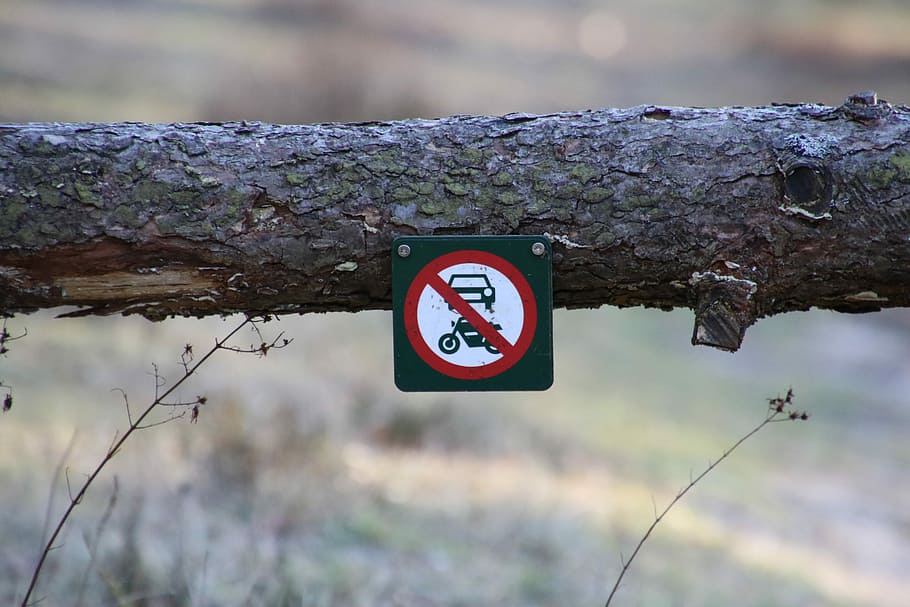 Divorced, Ban, Forest, Access Forbidden, natural, danger, warning sign HD wallpaper