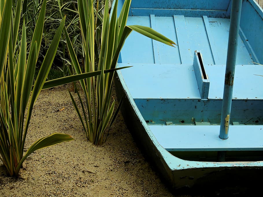 boot, ship, reed, grass, sand, beach, sailing boat, old, water HD wallpaper