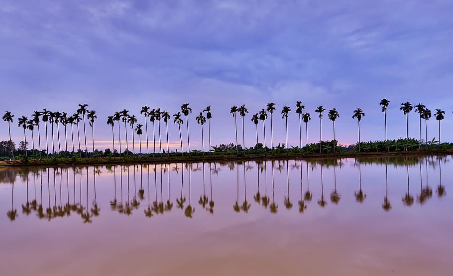 water, lake, nature, sky, reflection, cloud - sky, beauty in nature HD wallpaper