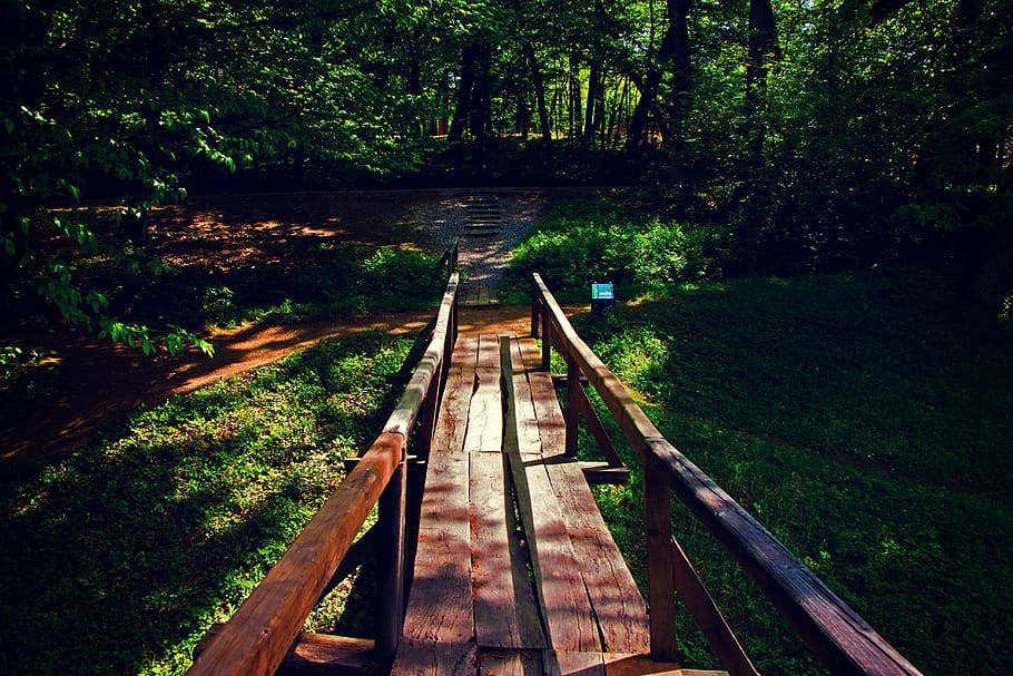 Brown Wooden Bridge Near Forest during Golden Hour, daylight HD wallpaper