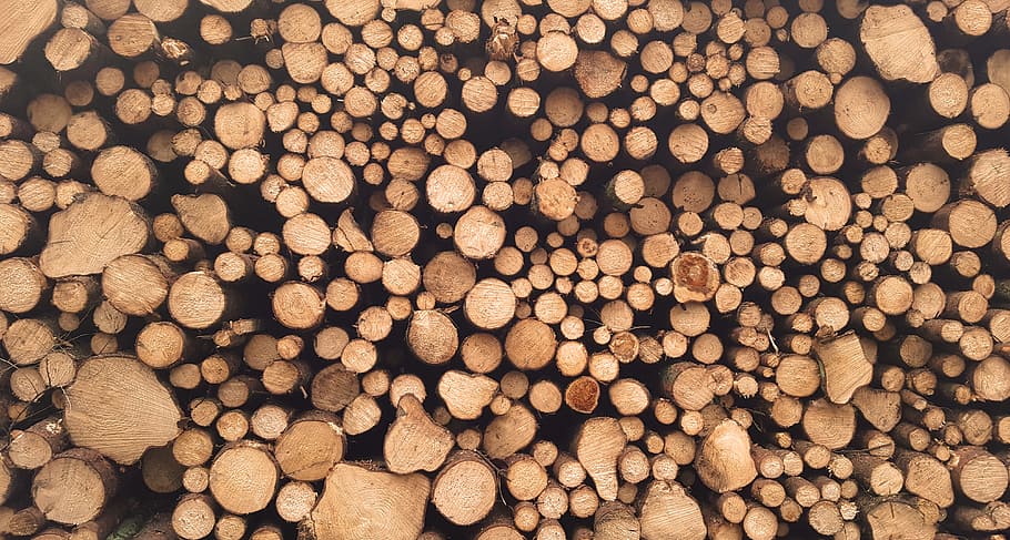 brown log lot at daytime, pile of wood logs, Stacked, lumber