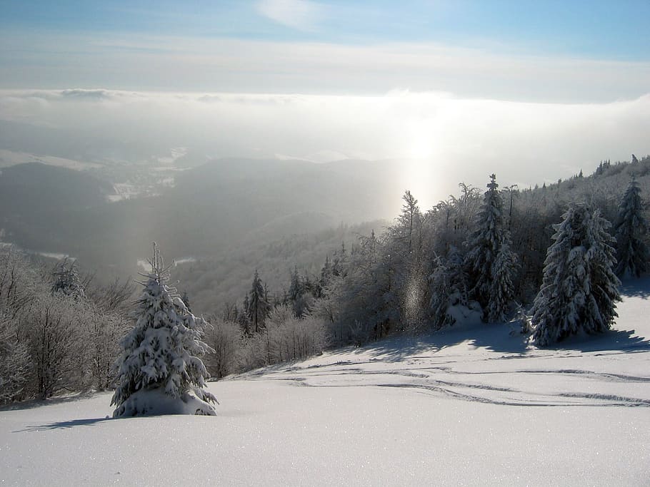 Mountains, Snow, Poland, Landscape, nature, sky, sun, efi, blue sky HD wallpaper