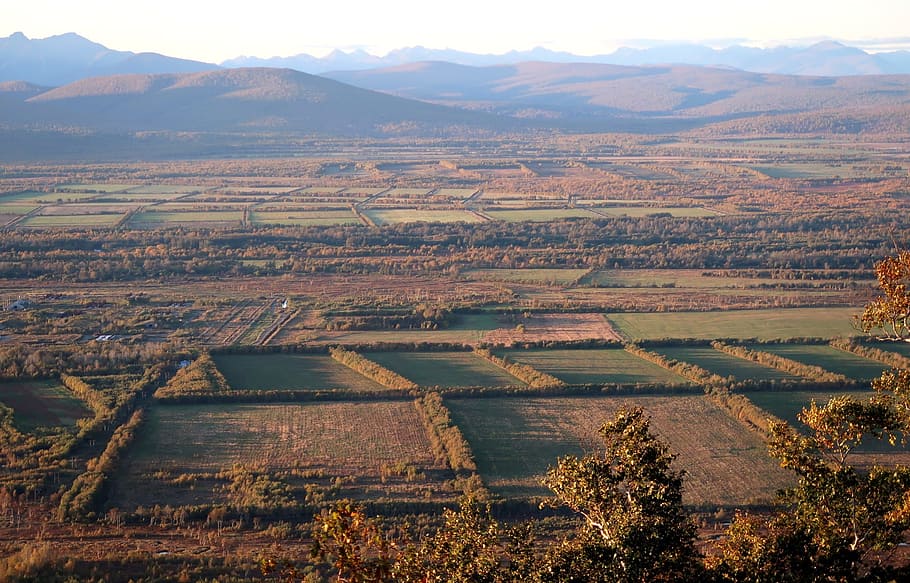 autumn, fields, harvest, nature, landscape, forest, mountains HD wallpaper