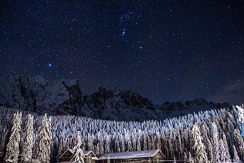 pine trees covered with snow under starry sky, brown wooden house in the forest during starry night sky HD wallpaper