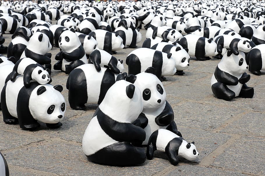black and white panda decors, Exhibition, Show, Animal, endangered HD wallpaper