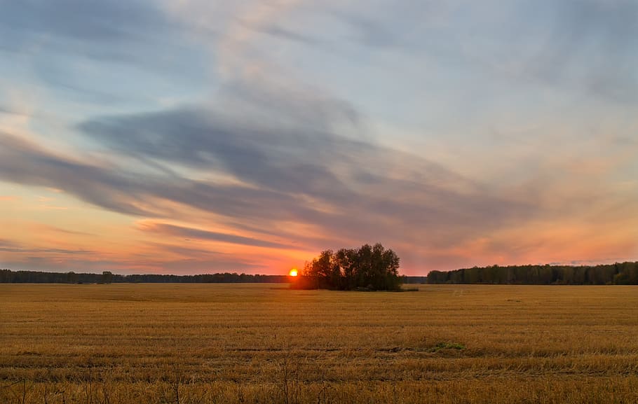 sunset, autumn, evening, clouds, tree, landscape, sky, outdoors HD wallpaper