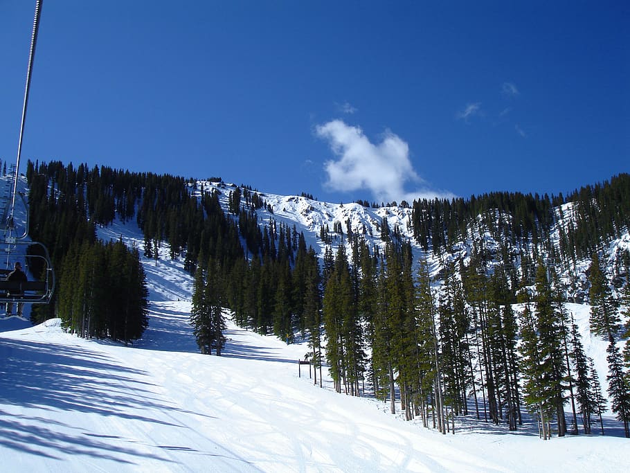 ski, mountain, winter, snow, cold temperature, tree, sky, plant HD wallpaper