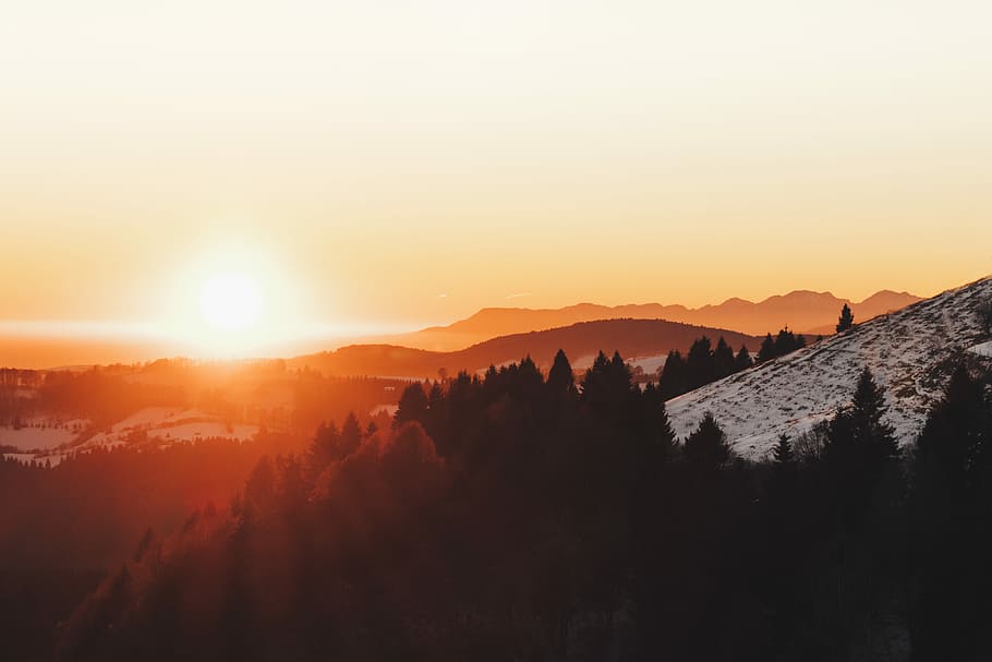 silhouette photography of forest, bird's eye view of forest mountain HD wallpaper