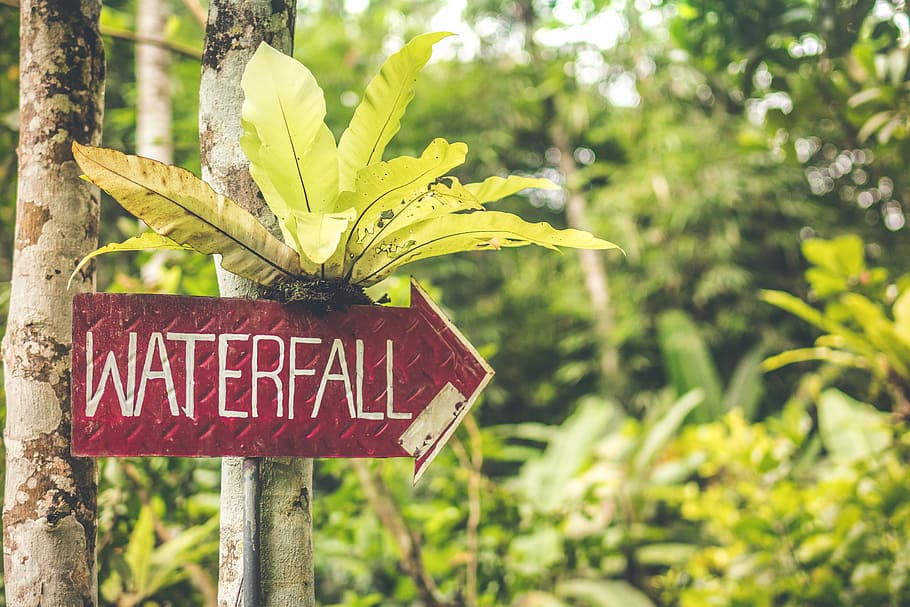 Waterfall sign in the jungle of Bali island., waterfall signage on tree trunk, HD wallpaper