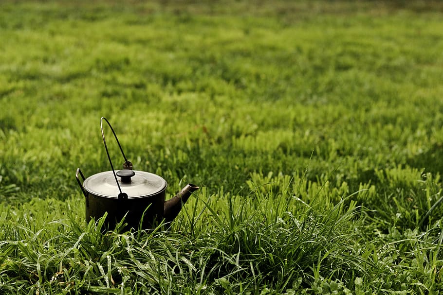 kettle, outside, grass, green, metal, old, antique, green color HD wallpaper