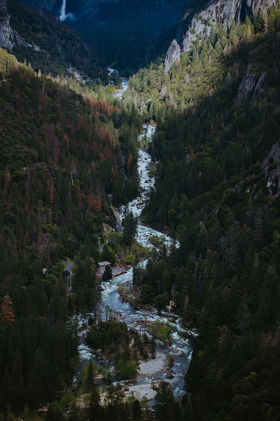 creek in between mountains covered with pine trees at daytime, aerial view photography of river between pine trees HD wallpaper