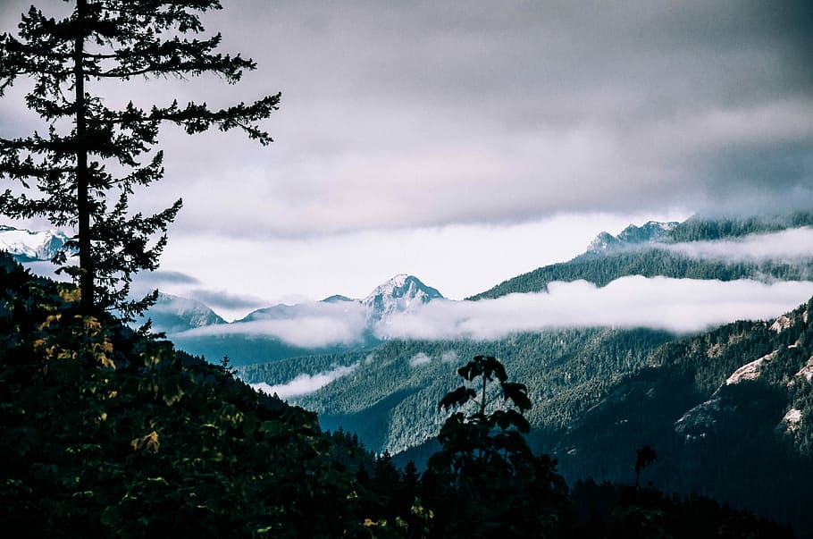 landscape photography of mountains, trees, and fogs, mountain under clouds HD wallpaper