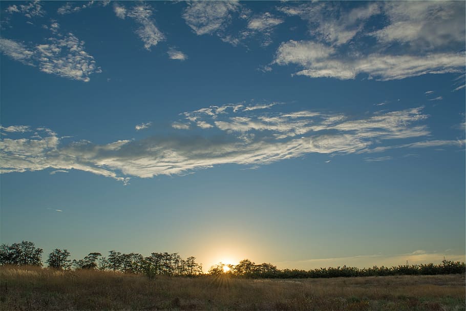 landscape photo of trees during golden hour, photography, savanna HD wallpaper