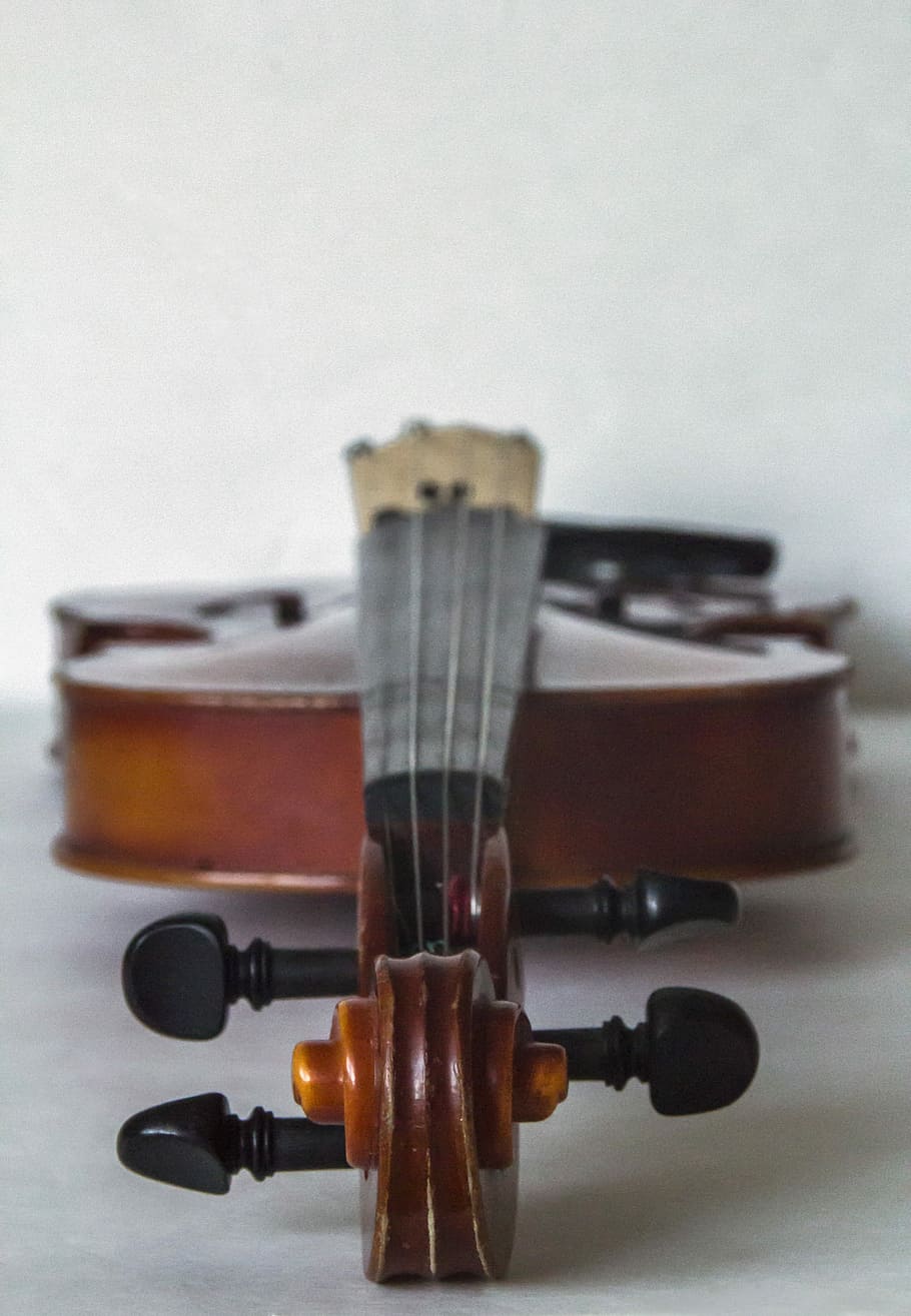 Violin, Music, Classical, Instrument, string, wood, vintage HD wallpaper