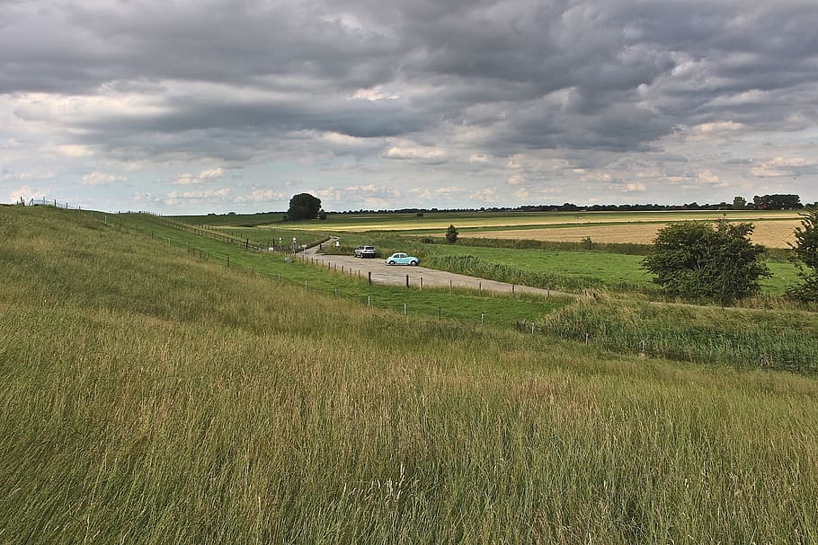 Field, Grasses, Nature, Fields, Sky, cloudy, rural Scene, agriculture HD wallpaper