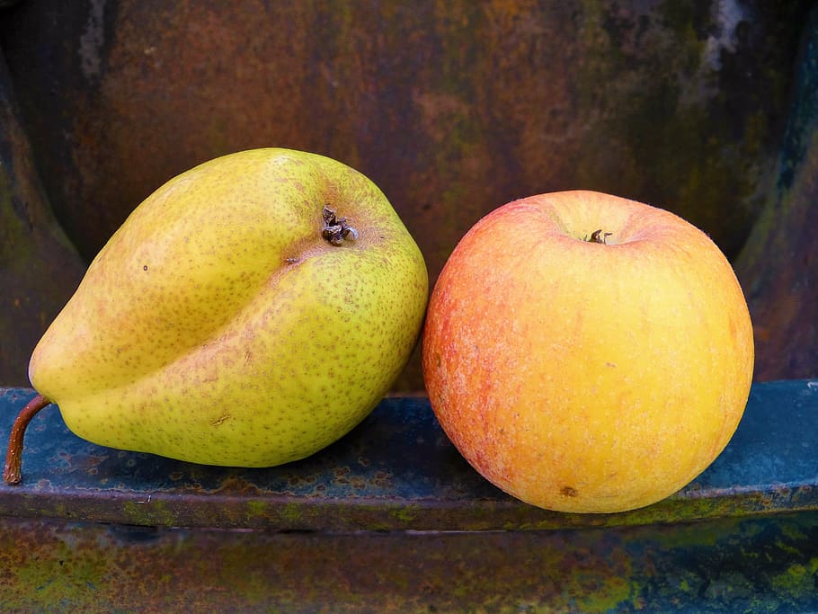 apple, pear, fruit, fruits, vitamins, healthy, autumn, frisch HD wallpaper