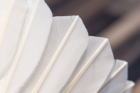 closeup photo of white fur, badminton, shuttlecock, feathers HD wallpaper