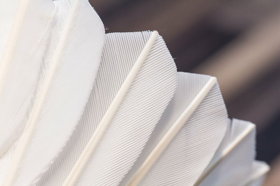 closeup photo of white fur, badminton, shuttlecock, feathers HD wallpaper