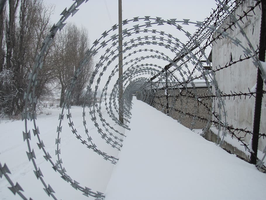 gray metal barb wire, barbed, winter, fence, prison, war, security
