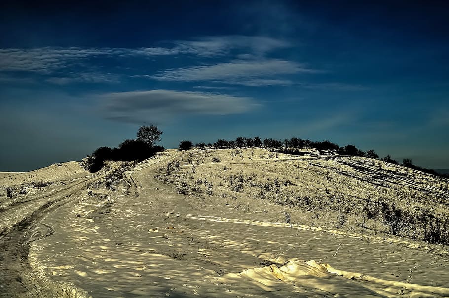 winter, landscape, snow, cold, natural, scenery, snowcapped HD wallpaper