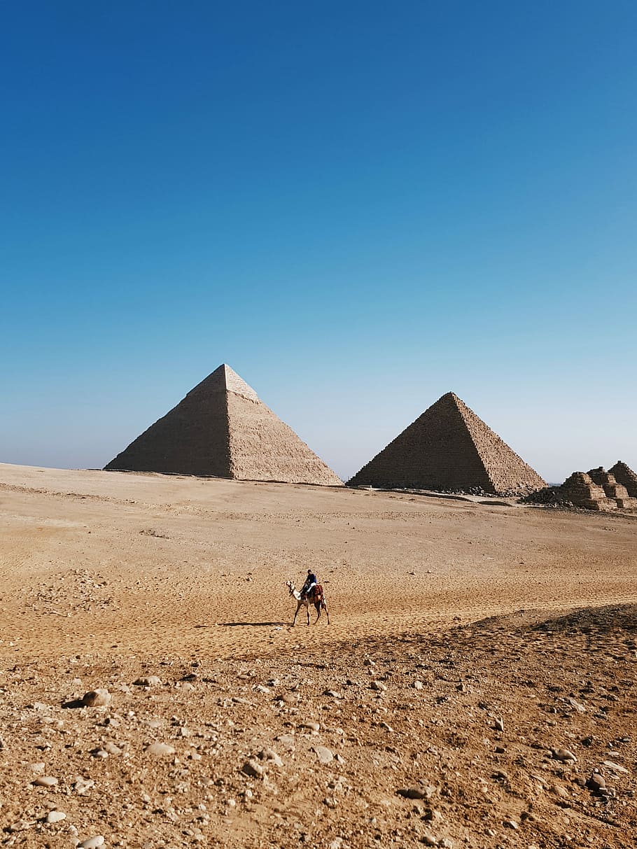 person riding camel during day time, person riding on brown camel near The Great Pyramid Of Giza, Egypt at daytime HD wallpaper