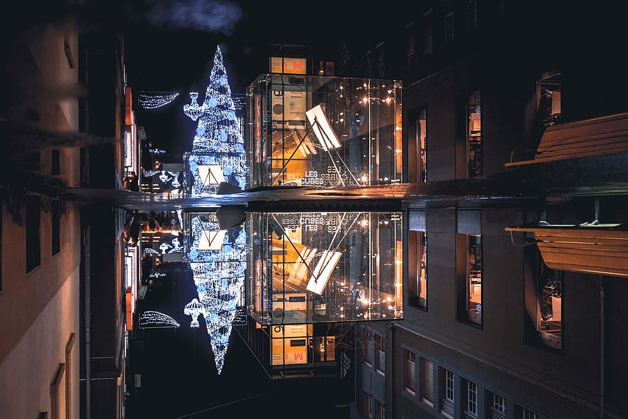 scenery of a Christmas tree with white string lights, brown building HD wallpaper
